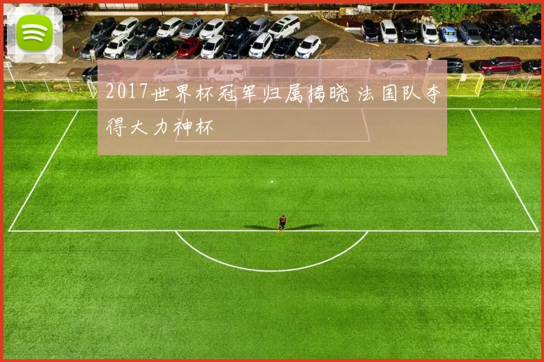 2017世界杯冠军归属揭晓 法国队夺得大力神杯