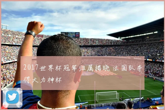 2017世界杯冠军归属揭晓 法国队夺得大力神杯